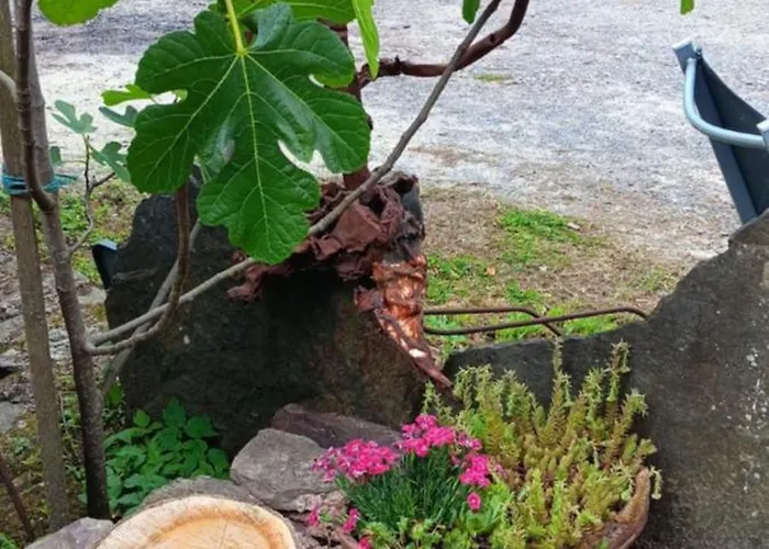 Des Hautes Planches 2 Pers En Normandie Holiday home *